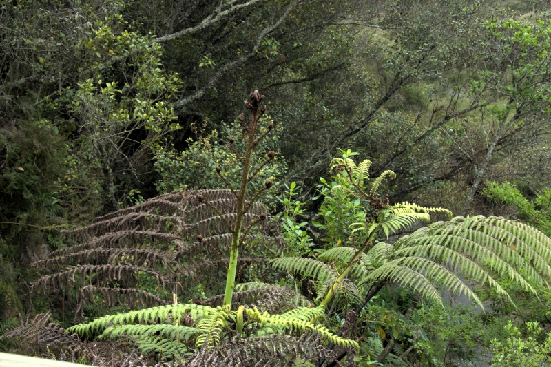 crw_3456.jpg