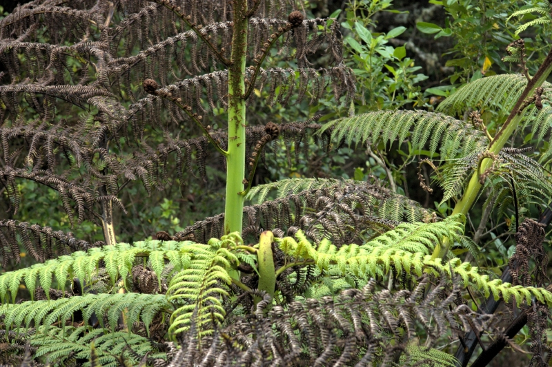 crw_3457.jpg