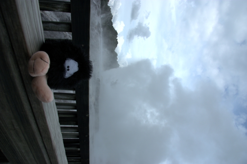 crw_3466.jpg