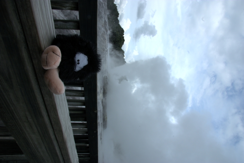 crw_3467.jpg