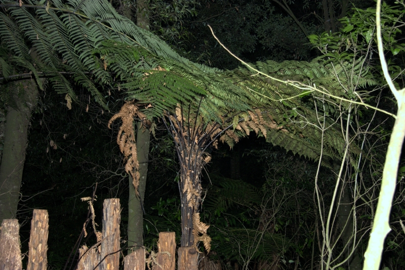 crw_3481.jpg