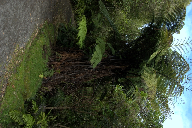 crw_3513.jpg