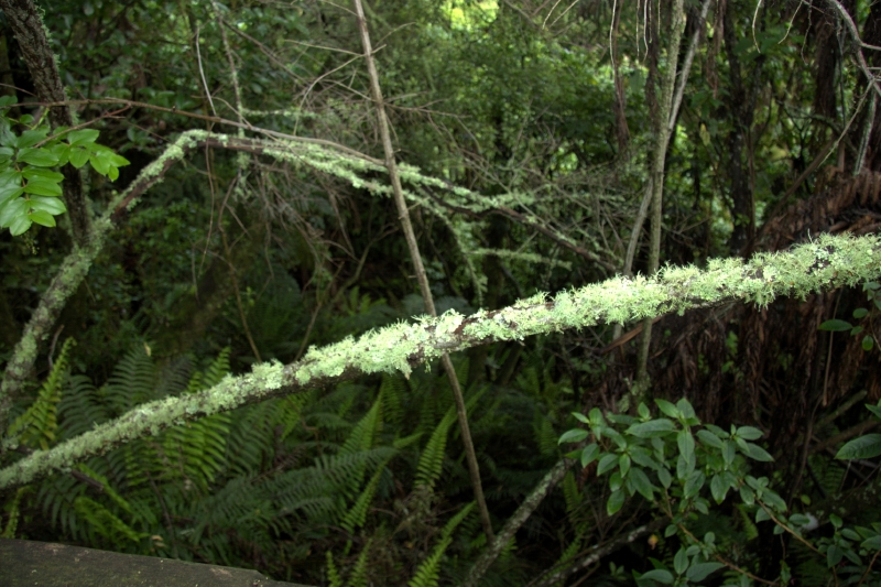 crw_3514.jpg