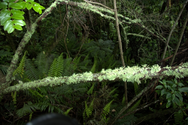 crw_3515.jpg