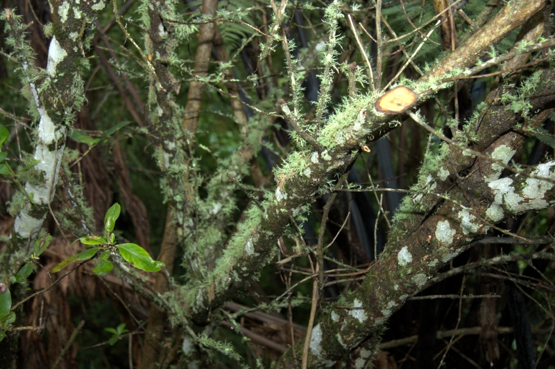 crw_3516.jpg