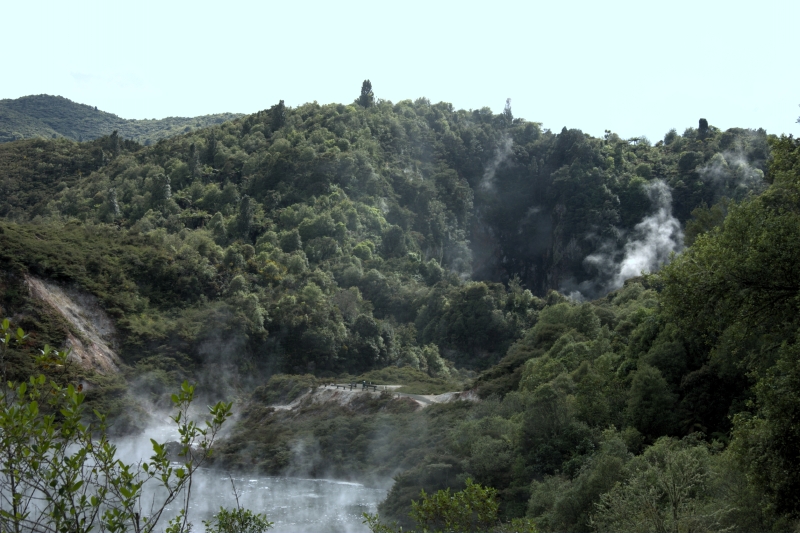 crw_3526.jpg