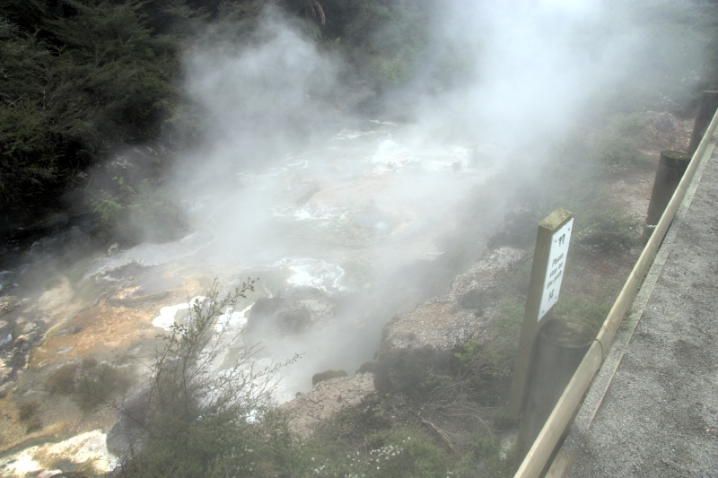 crw_3539.jpg
