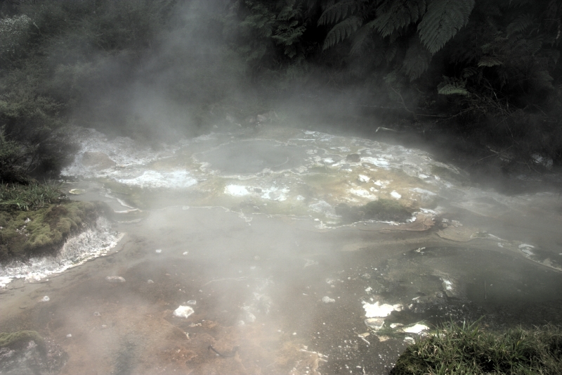 crw_3543.jpg
