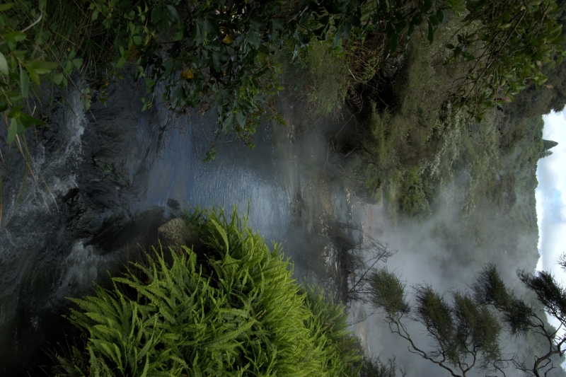 crw_3545.jpg