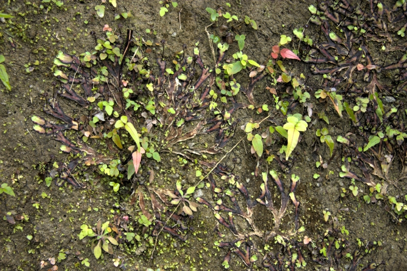 crw_3546.jpg