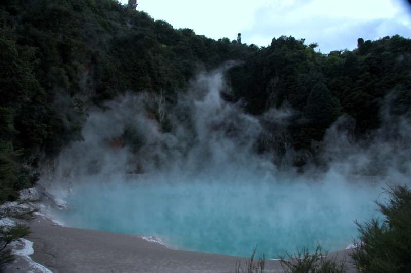 crw_3550.jpg