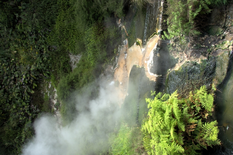 crw_3555.jpg
