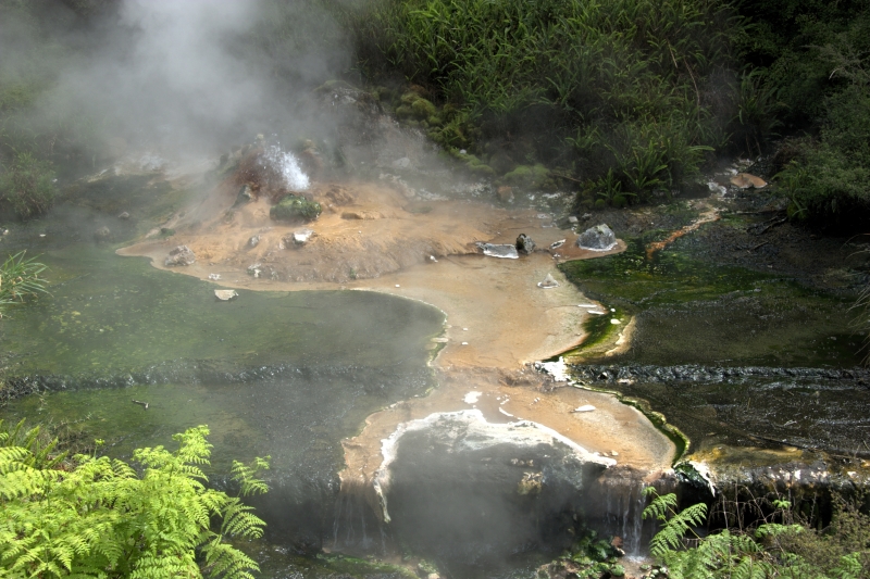 crw_3556.jpg