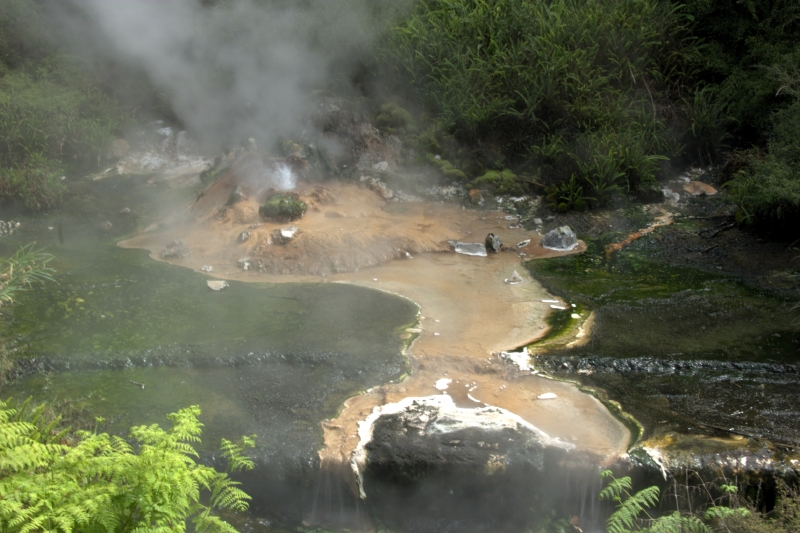 crw_3557.jpg