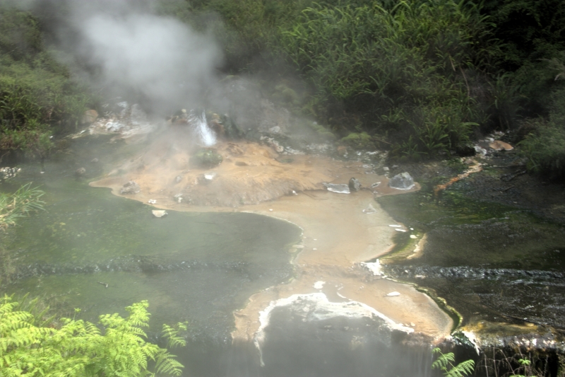 crw_3558.jpg