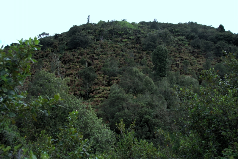 crw_3569.jpg