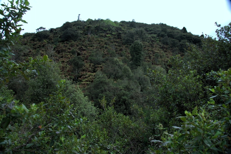 crw_3570.jpg