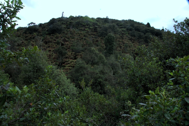 crw_3571.jpg