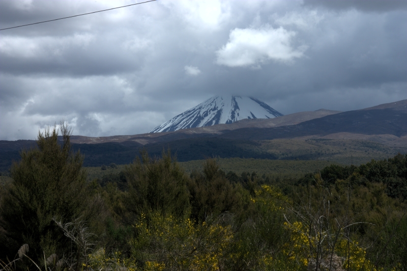 crw_3573.jpg