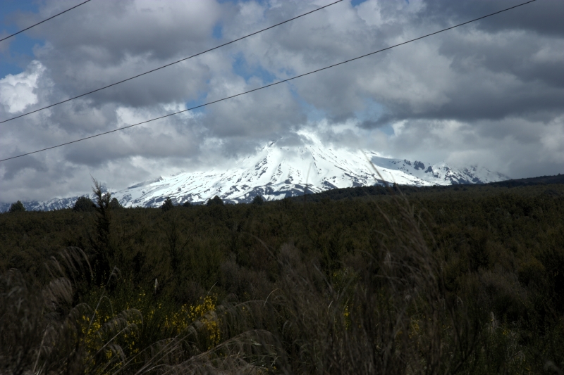 crw_3574.jpg