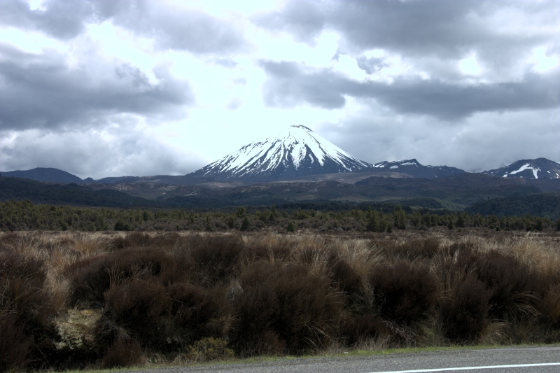 crw_3575.jpg