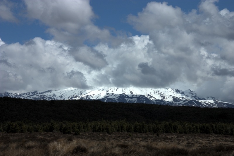 crw_3576.jpg