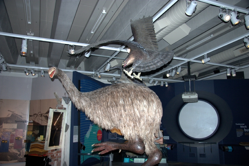 crw_3585.jpg