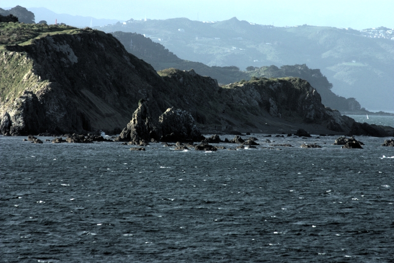 crw_3594.jpg