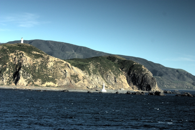 crw_3596.jpg