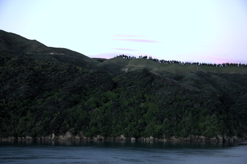 crw_3613.jpg