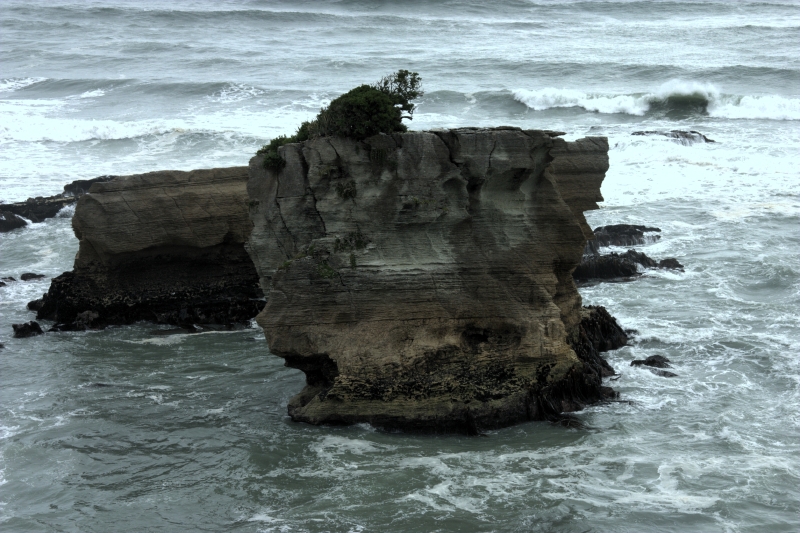 crw_3619.jpg