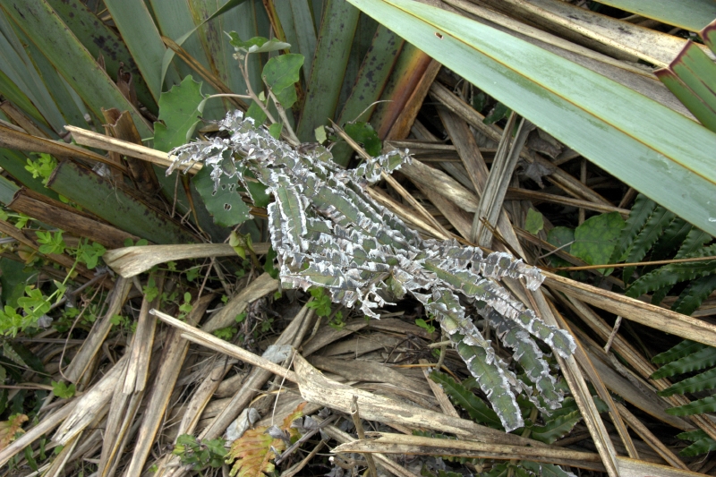 crw_3621.jpg