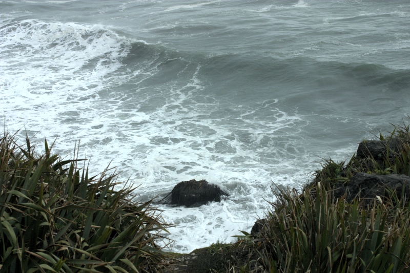 crw_3630.jpg