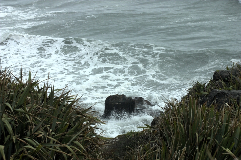 crw_3631.jpg