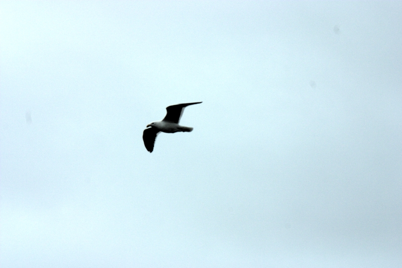 crw_3640.jpg