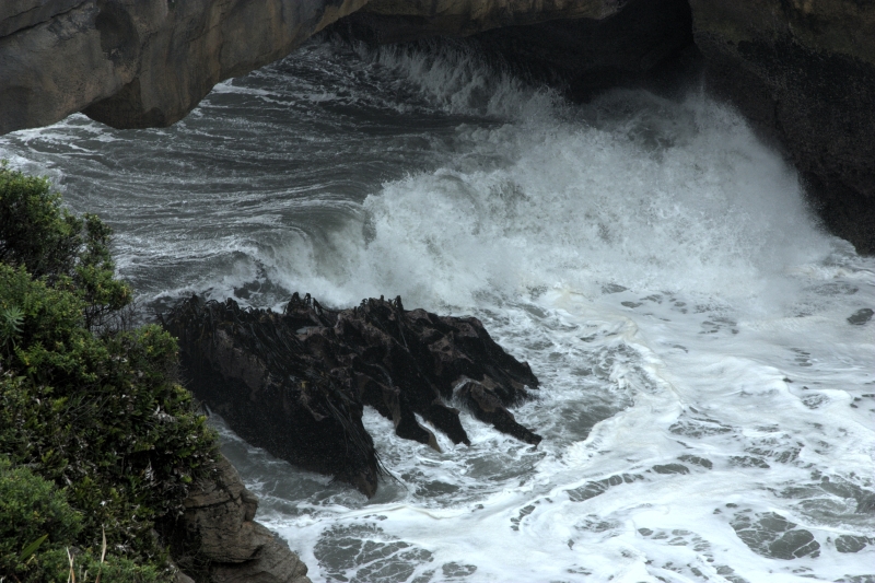 crw_3649.jpg