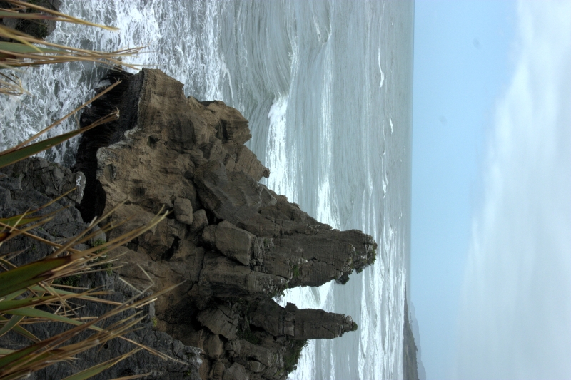 crw_3651.jpg