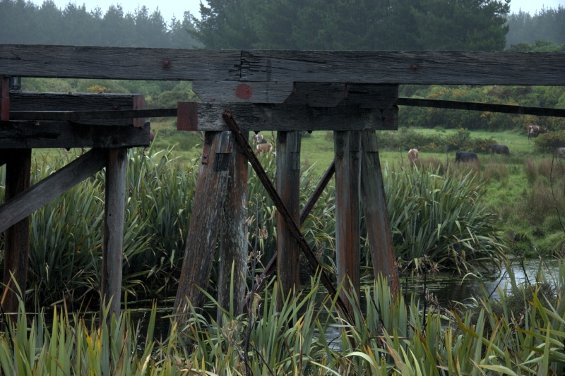 crw_3661.jpg