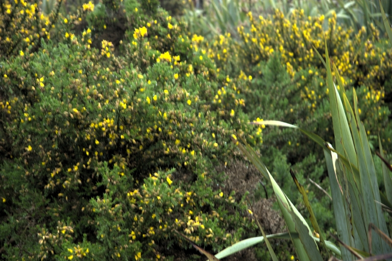 crw_3673.jpg