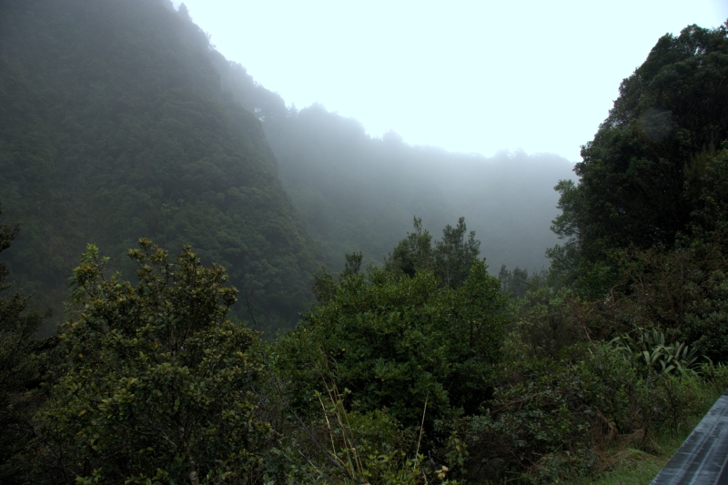 crw_3680.jpg