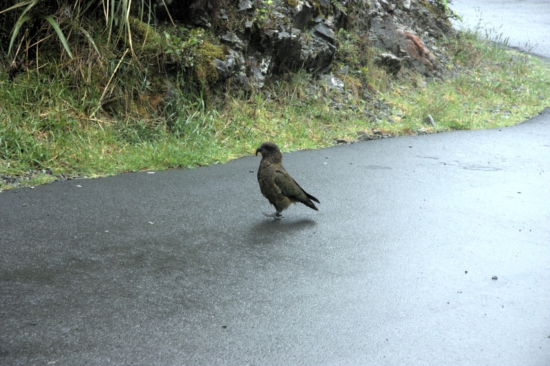 crw_3682.jpg