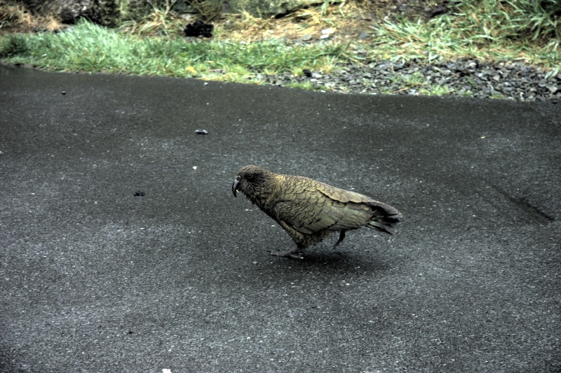 crw_3684.jpg