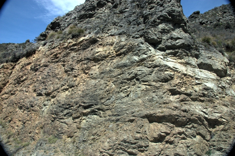 crw_3706.jpg