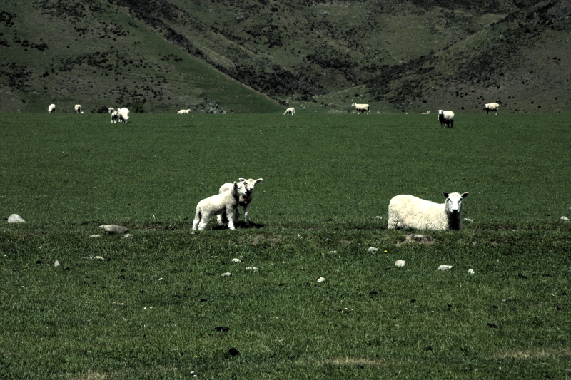 crw_3708.jpg
