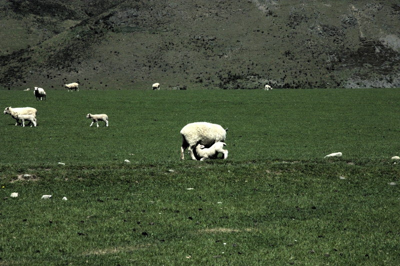 crw_3709.jpg