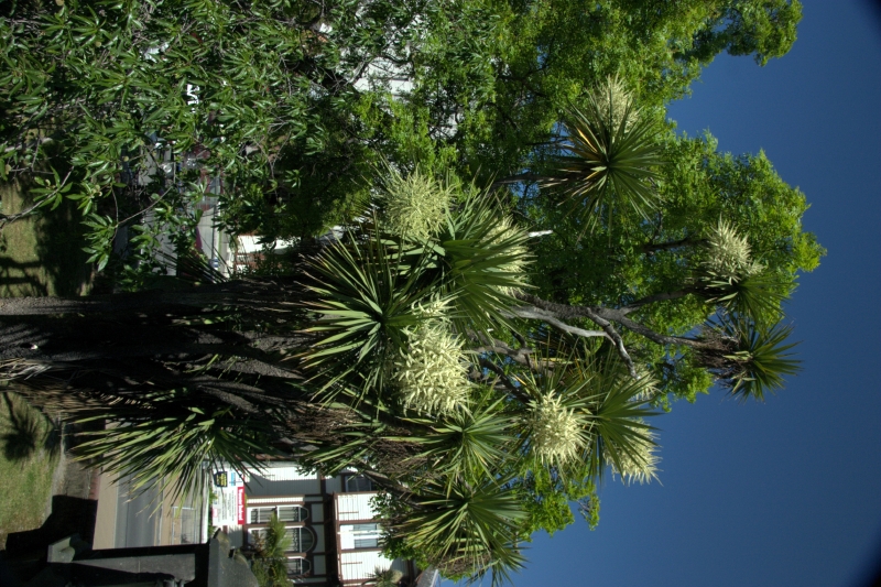 crw_3713.jpg