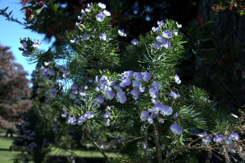 crw_3719.jpg