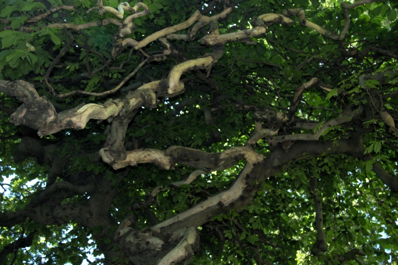crw_3722.jpg