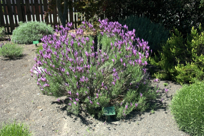 crw_3724.jpg