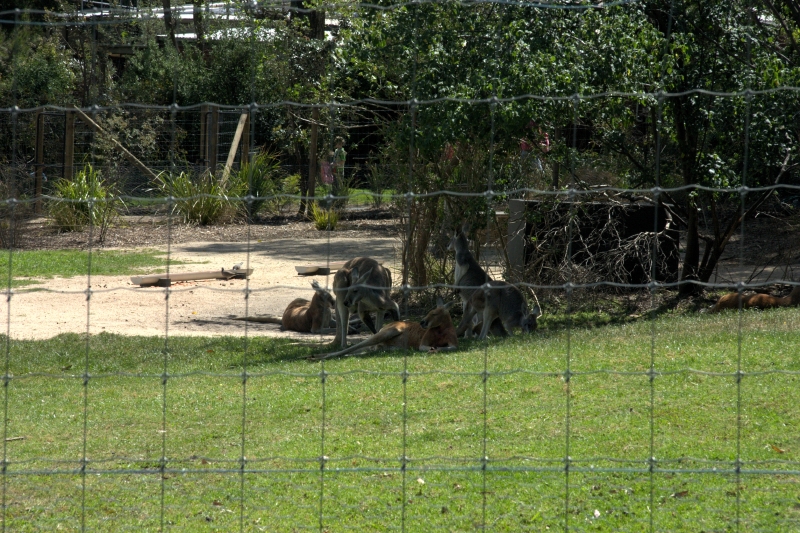crw_3727.jpg